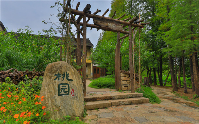 烏村組團(tuán)桃園.jpg